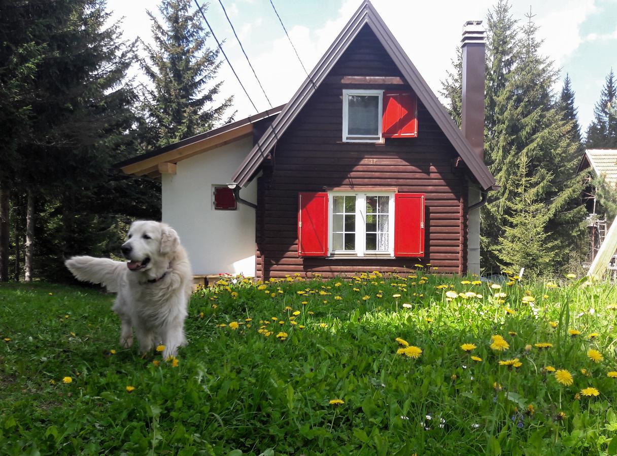 Snowhite Jahorina Villa Bagian luar foto