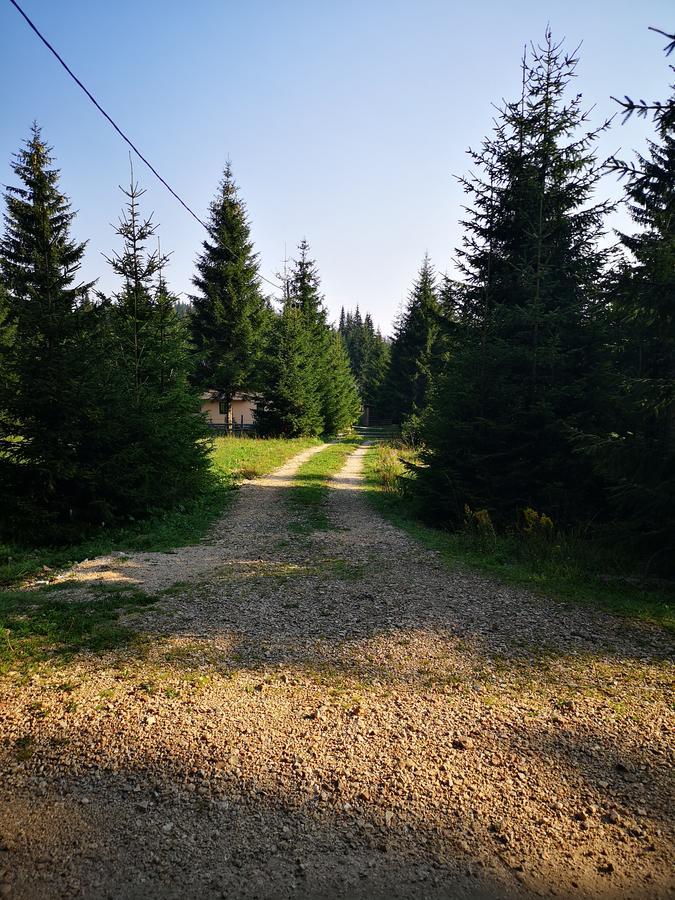 Snowhite Jahorina Villa Bagian luar foto